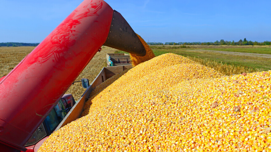 Pad proizvođačkih cijena poljoprivrednih proizvoda u 2023? Evo što kažu podaci