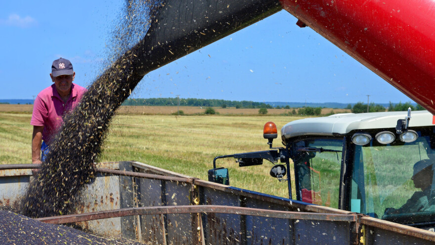 Veliki pad cijene uljane repice - argentinska soja podbacuje zbog suše