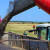 Veliki pad cijene uljane repice - argentinska soja podbacuje zbog suše