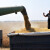 Pala cijena pšenice zbog najavljenog sporazuma između Rusije i Ukrajine
