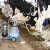 TISUP: Otkupne cijene mlijeka i dalje su u blagom padu