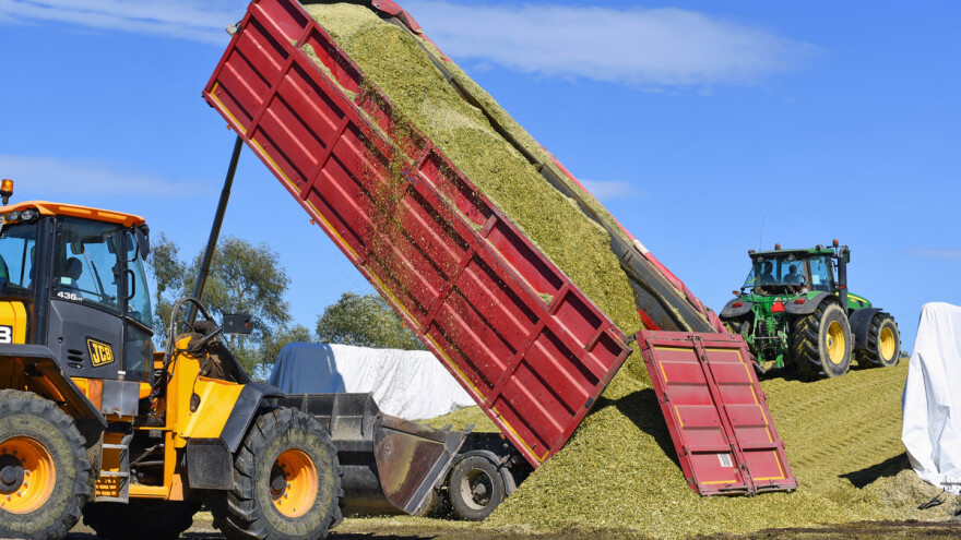 Ratari pred zidom: Potražuju 15 milijuna kuna za prošlogodišnju silažu, a ništa od ovrhe