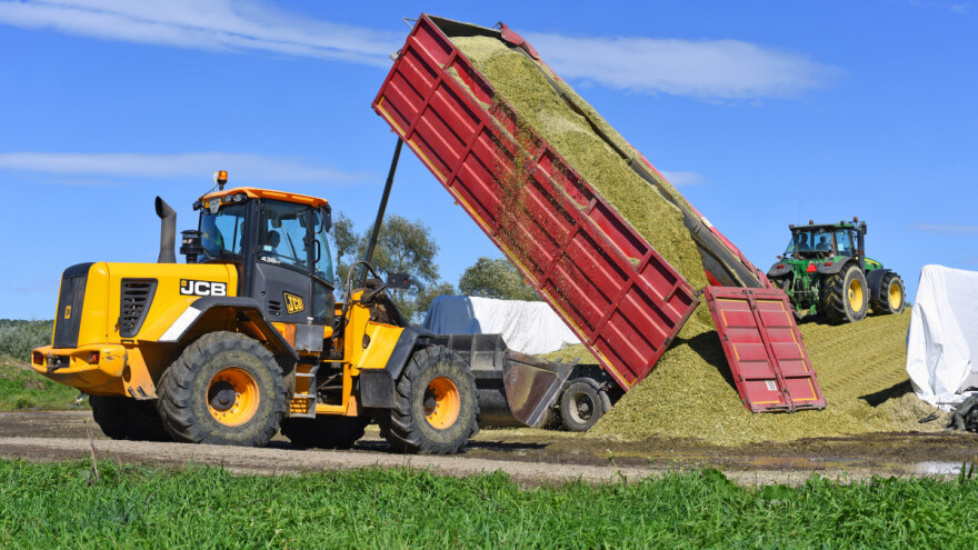 Tko ima najbolje kukuruzne silaže? Proglašeni pobjednici natjecanja