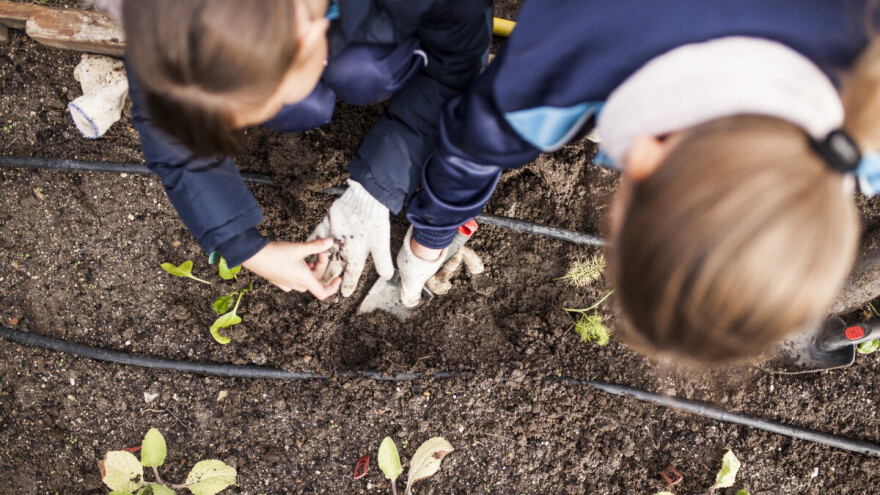 U osječkoj školi učenici zbrinjavaju otpad i obrađuju školski biovrt