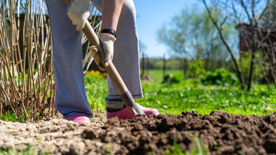 Mjesec ožujak donosi radove u vrtu i voćnjaku