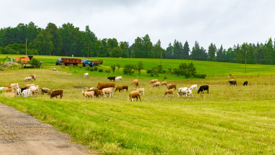 Evropska komisija tužila Nemačku zbog livada