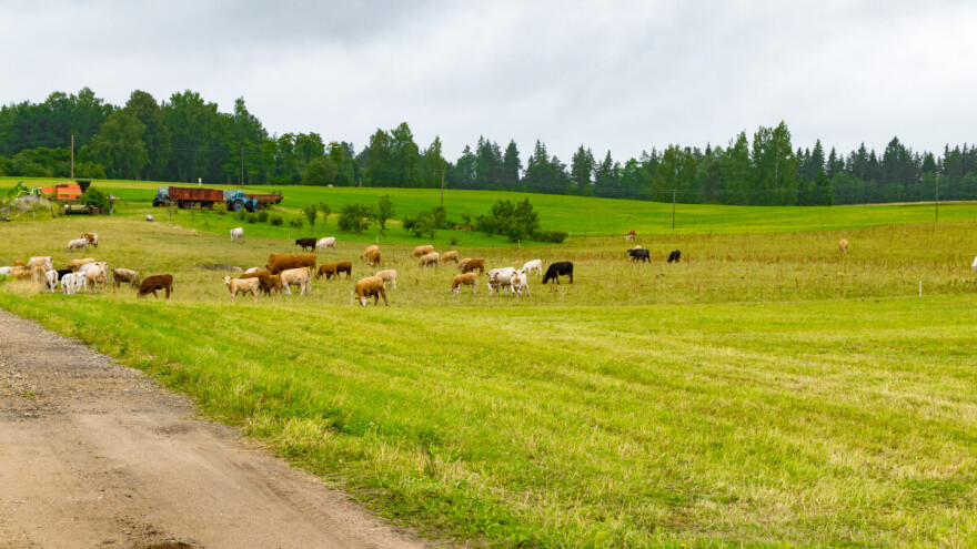 Livadu i četiri pašnjaka u Prijedoru prodaju za tri miliona maraka