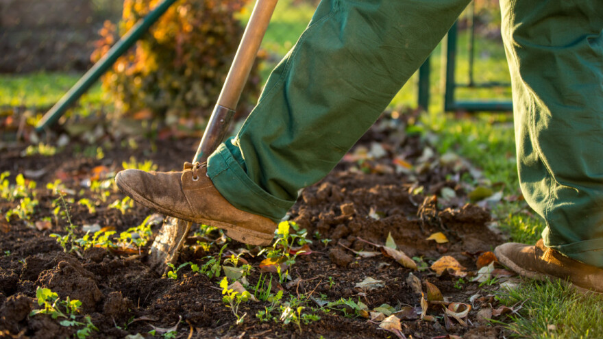Radovi u oktobru: Jesen je vreme berbe, obrade zemlje, setve i kompostiranja