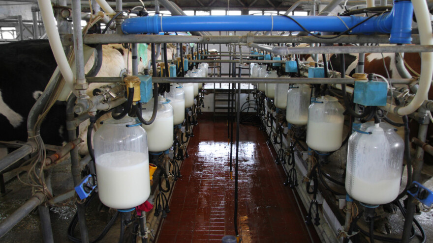 Kako stoje otkupne cijene mlijeka u Europskoj uniji?