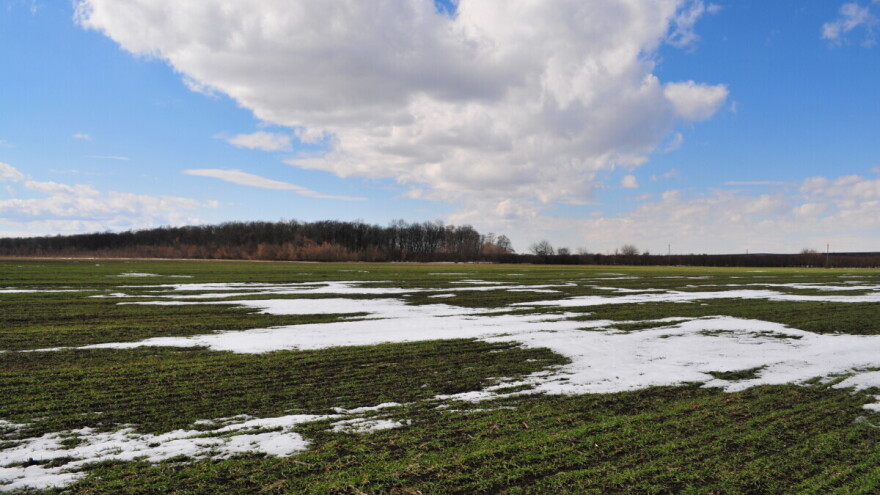 Aktuelne mjere njege pšenice u zimskom periodu