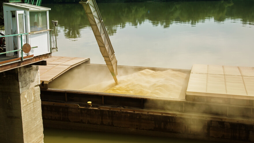 Ukida se zabrana izvoza žitarica iz Ukrajine za pet zemalja - kako utječe na cijene?