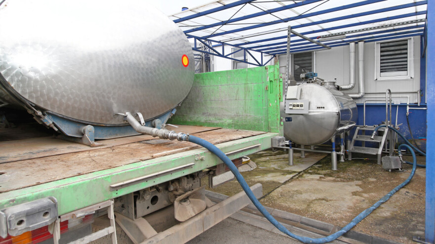 Velika krađa mleka - šteta preko milion dolara