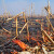 Izgorelo 27 jutara kukuruza kod Sombora - ne zna se još uzrok požara