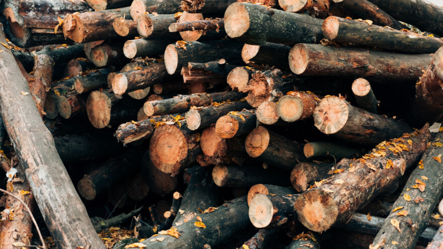 Posjekao tuđa stabla, šteta veća od 76.000 eura