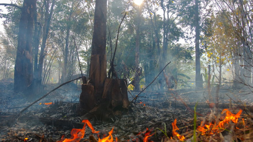 Aktivni požari u Čapljini, Konjicu i Jablanici - gori šuma i nisko rastinje