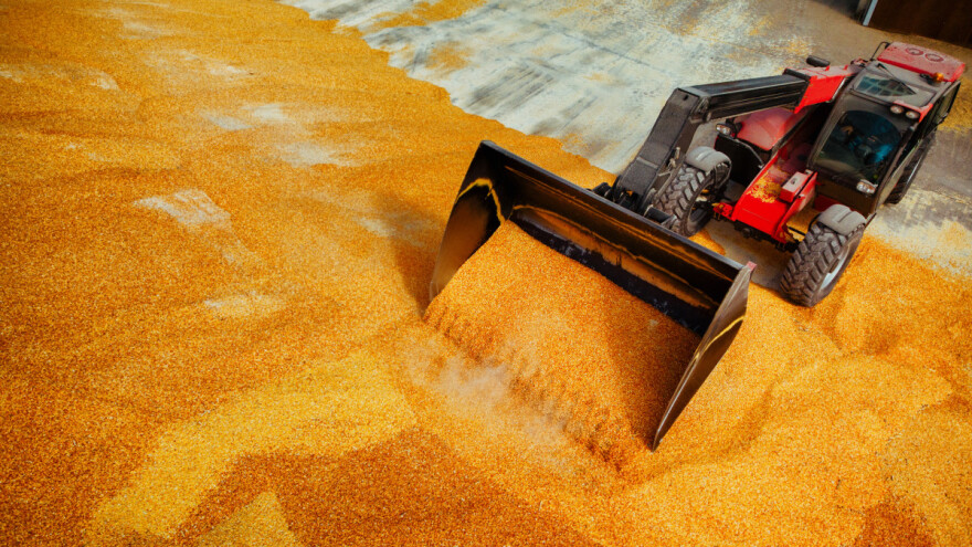 Oporavljaju se cijene pšenice i kukuruza