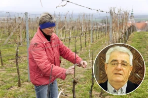 Ako Vinka sunce peče, vino u bačve teče - čekaju nas suhi, sunčani i ne tako hladni dani
