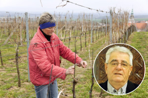 Ako Vinka sunce peče, vino u bačve teče - čekaju nas suhi, sunčani i ne tako hladni dani