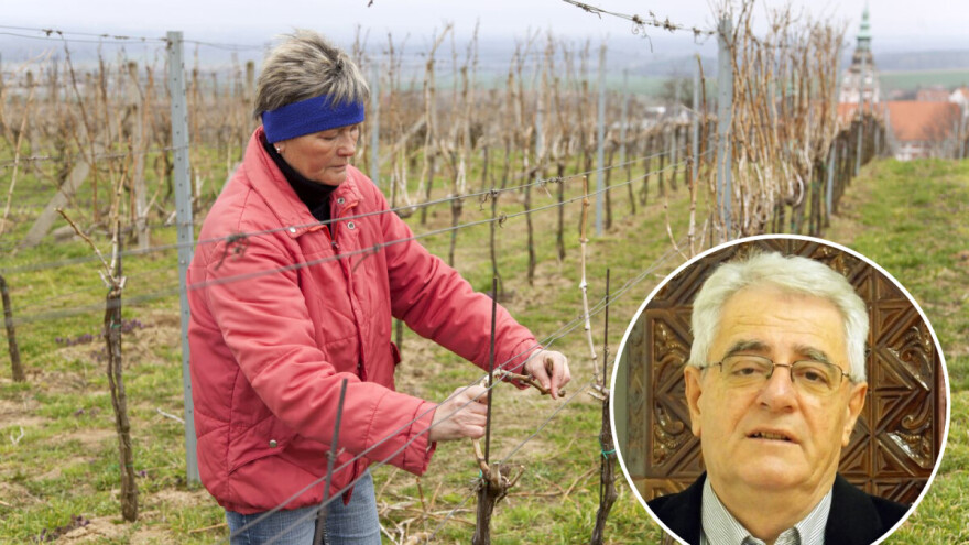 Ako Vinka sunce peče, vino u bačve teče - čekaju nas suhi, sunčani i ne tako hladni dani