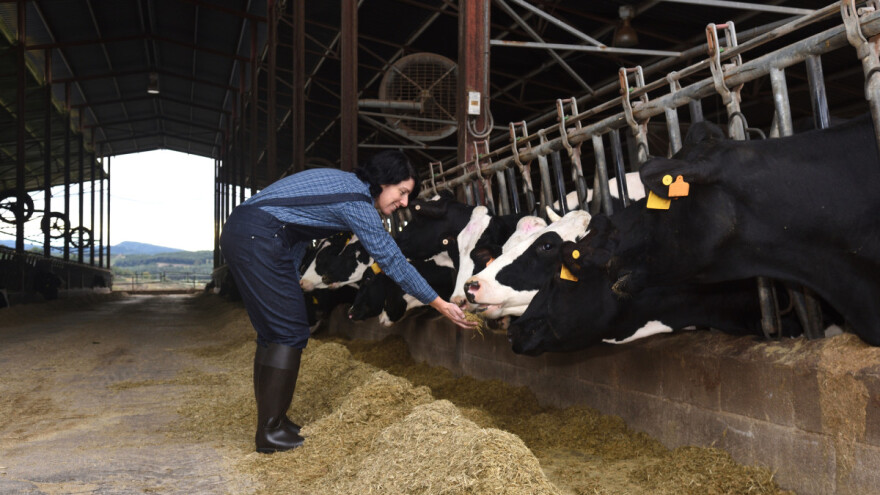 Otkupne cijene sirovog mlijeka i u prosincu blago rasle: Trend se nastavlja i u siječnju?