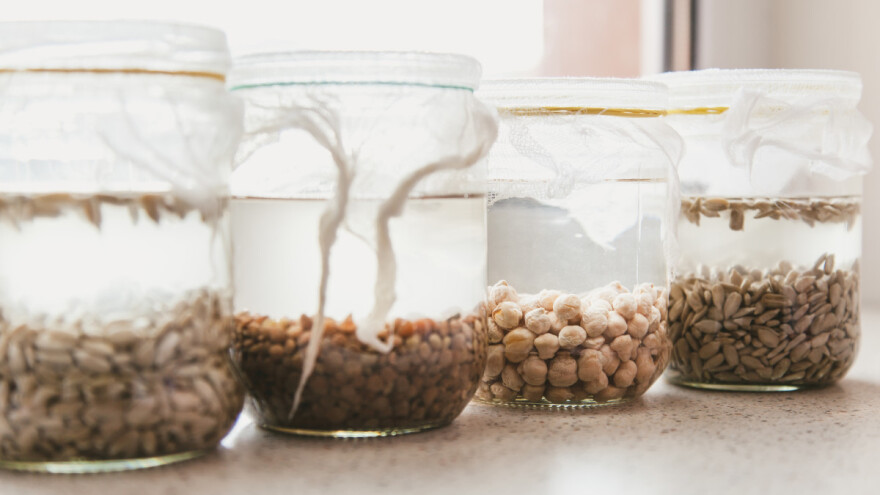 Dvije metode kako provjeriti je li sjeme ispravno