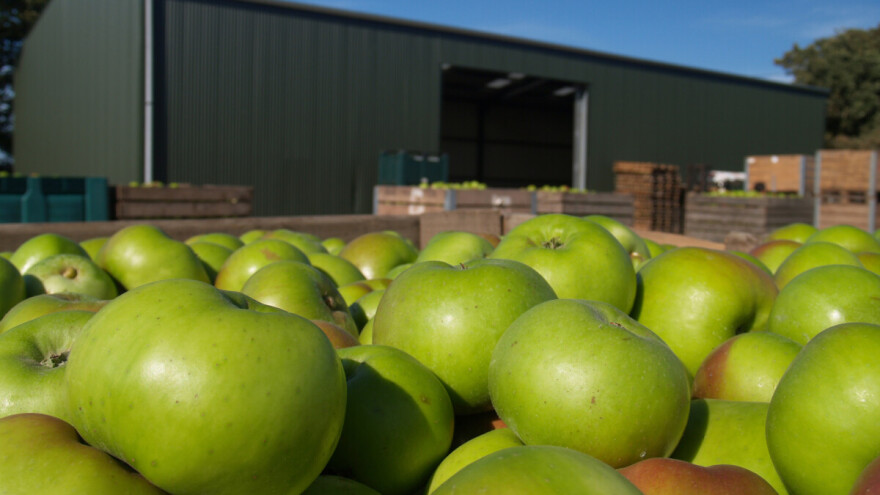 Novi sporazum o izvozu voća i povrća sa Rusijom od 20. oktobra