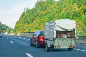 Započela primjena novih pravila o čistijim i sigurnijim automobilima - na koga se odnosi?