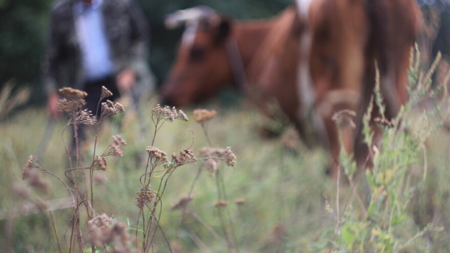 Broj farmi opada, baš onoliko koliko rapidno raste broj kladionica