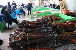 Kinezi divlje životinje uzgajaju na farmama i ne planiraju da prestanu da ih jedu