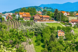 Kako spriječiti eroziju zemljišta na padinama?