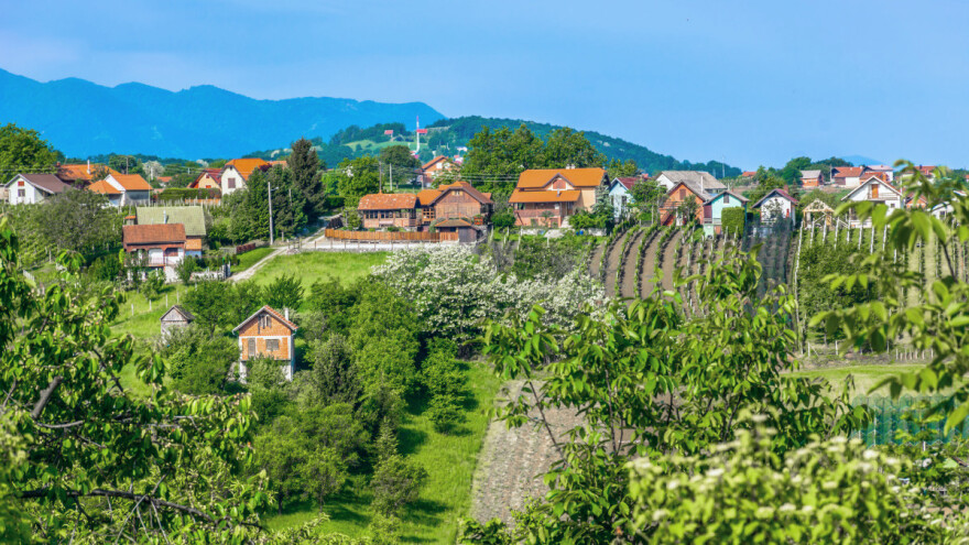 Kako podići vjetrozaštitne pojaseve i koje drveće saditi?