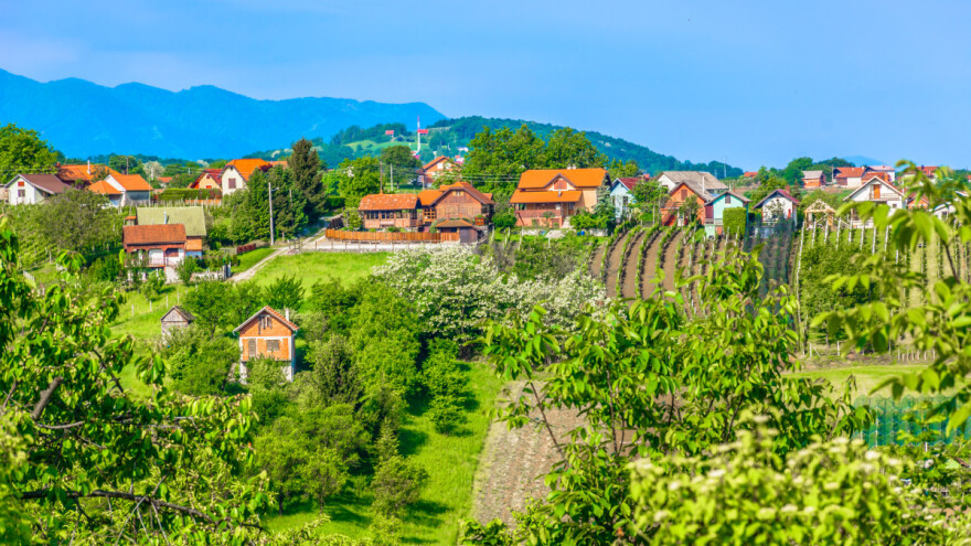 Kako podići vjetrozaštitne pojaseve i koje drveće saditi?