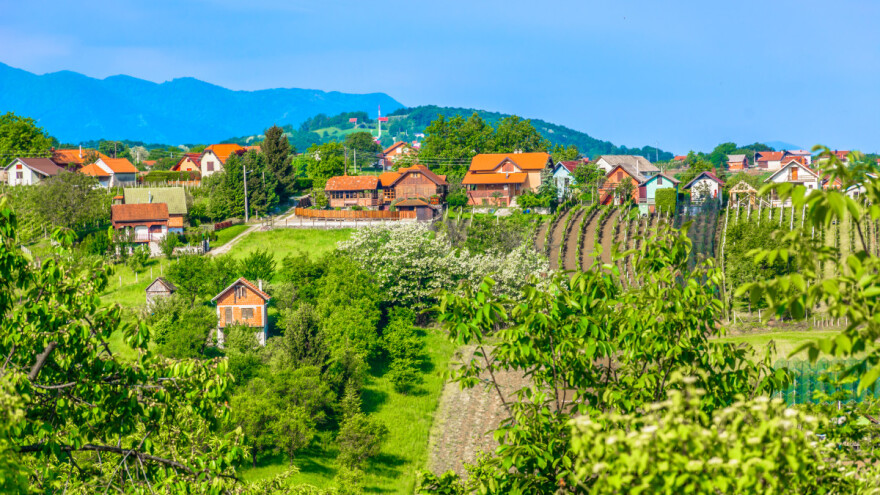 Kako podići vetrozaštitne pojaseve i koje drveće saditi?