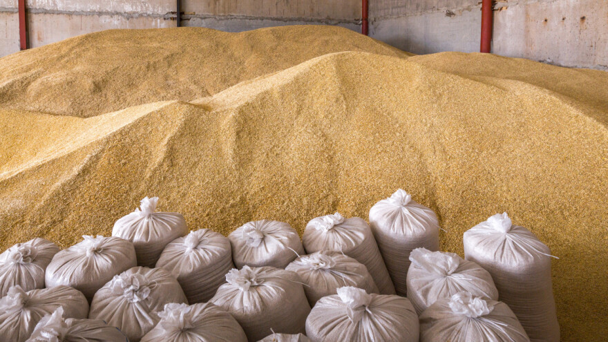 Robne rezerve otkupljuju merkantilnu pšenicu za 28 din/kg