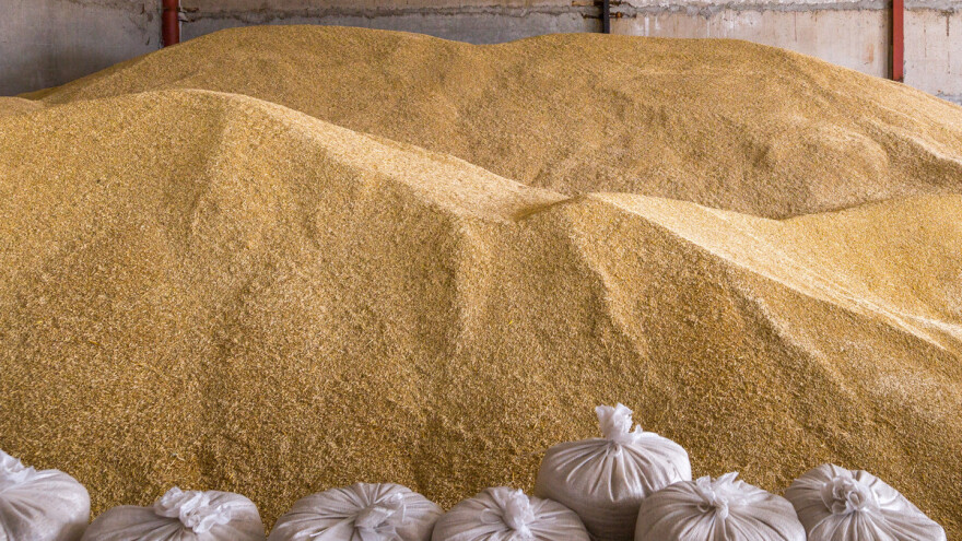 Cijene žitarica i dalje u padu - o čemu ovise?