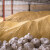 Nakon žetve: Kako pravilno skladištiti pšenicu?