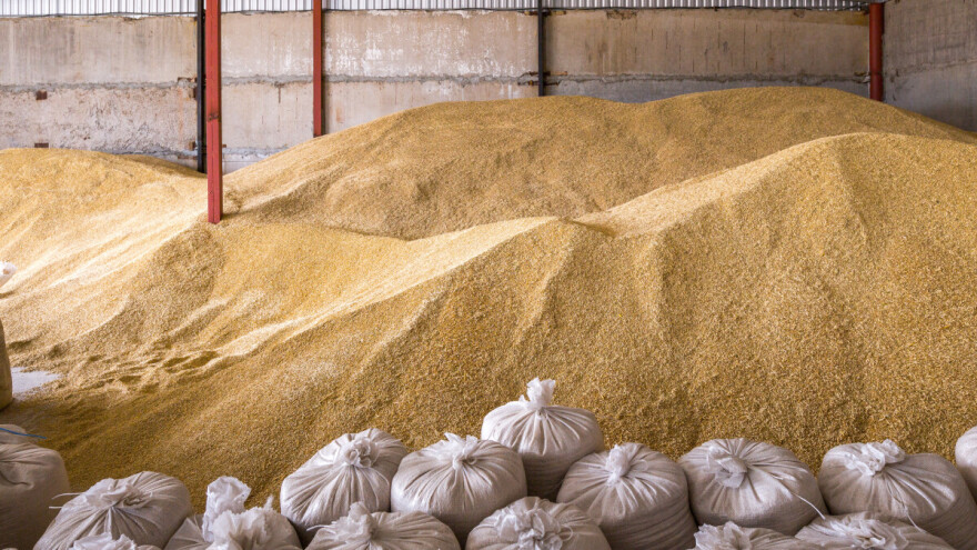 Nakon žetve: Kako pravilno skladištiti pšenicu?