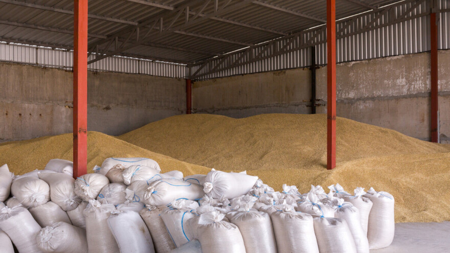 Povećanje zasijanih površina i pod žitom, poljoprivrednici očekuju dobre prinose