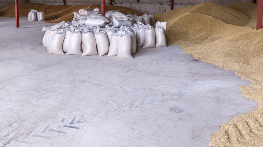 Ministarstvo poljoprivrede: Nema mikotoskina u pšenici