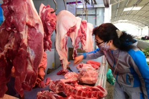 Kina u julu uvezla rekordnih 430.000 tona svinjetine - cijena za kilogram do 12,5 KM