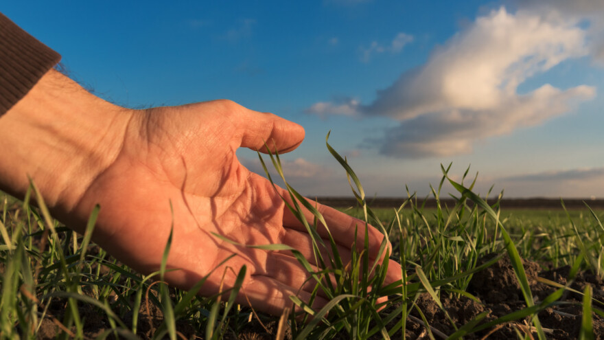 Godina 2020. najtoplija ikad zabežena u Evropi
