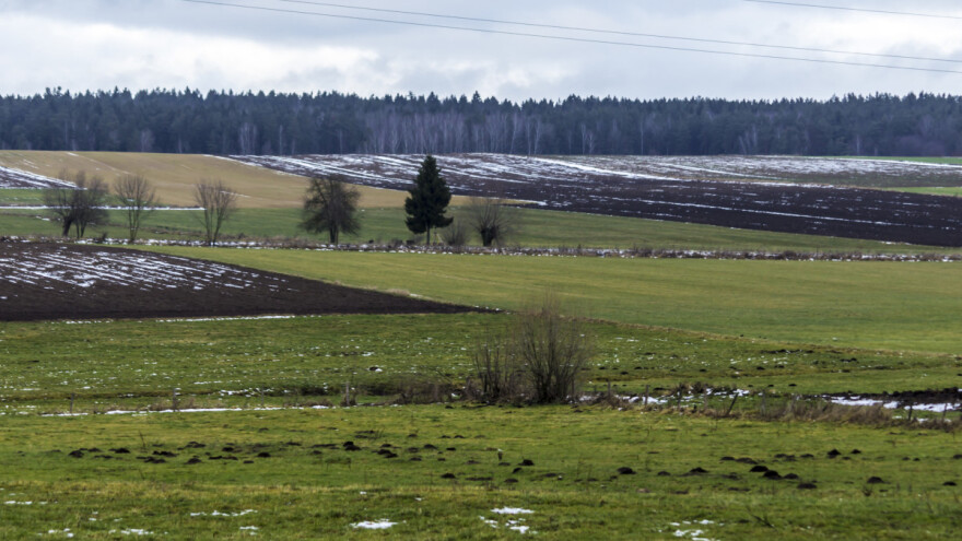 I dalje bez snijega, ima li opasnosti od golomrazice?
