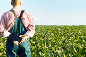 Od jedne milijarde eura zajma mladim farmerima, 95% odobreno u roku šest mjeseci