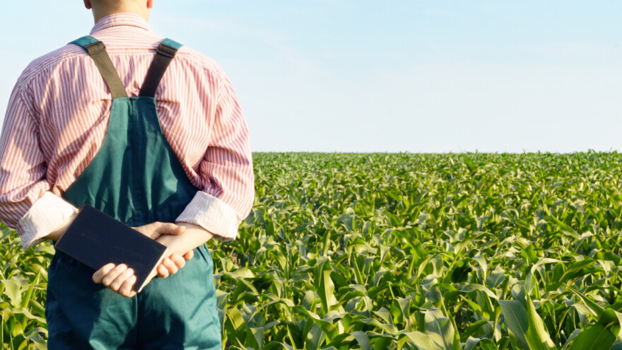 Od jedne milijarde eura zajma mladim farmerima, 95% odobreno u roku šest mjeseci