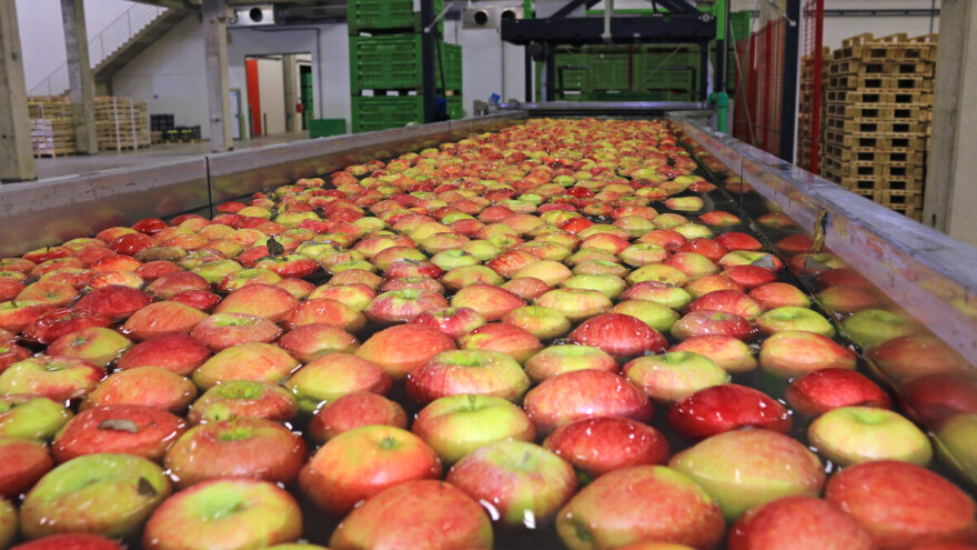 IPARD Mera 3: Ulaganje u preradu, najava novog sektora