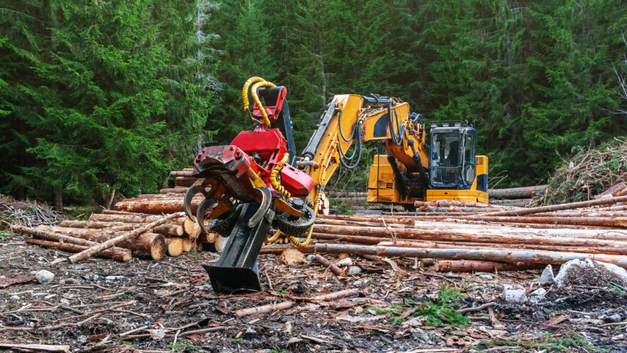 Na Kupres stižu evropski stručnjaci iz oblasti šumasrtva