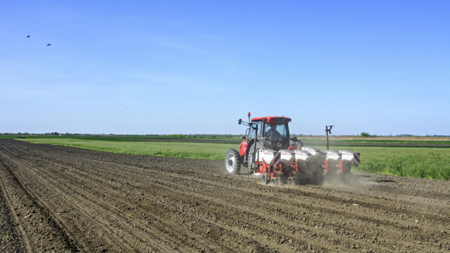 Vlage u zemljištu ima - kada će krenuti setva kukuruza?