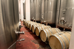 Vino u EU: Skoro 80 posto proizvodnje u Italiji, Španiji i Francuskoj