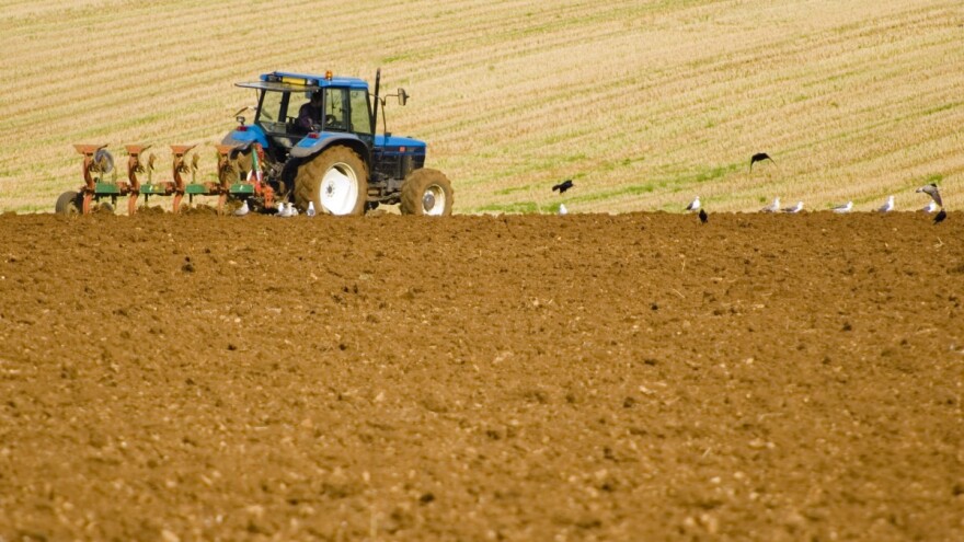 Predsetvena priprema zemljišta i setva kukuruza