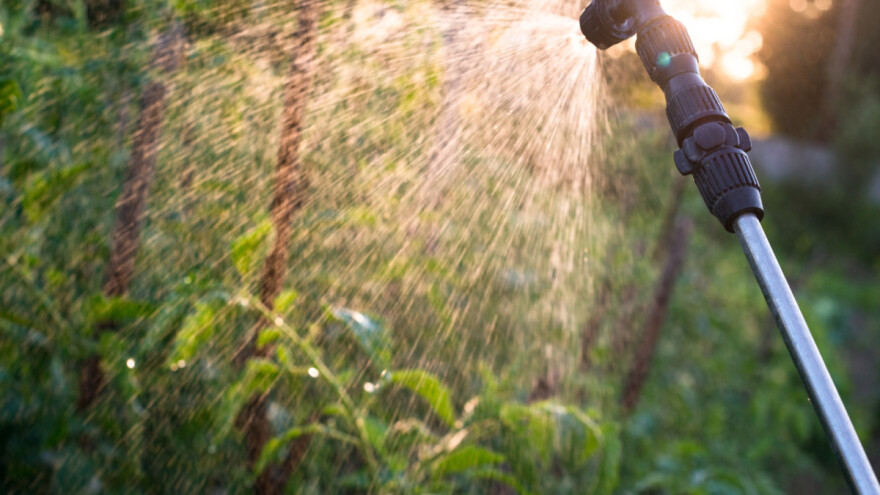 Počnite na vreme sa prihranjivanjem povrća